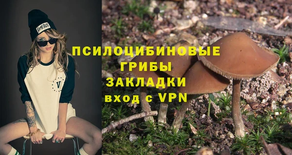 трава Арсеньев