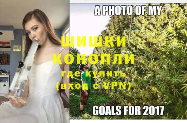 твердый Аркадак