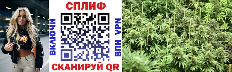 Каннабис ГИДРОПОН  Краснодар 